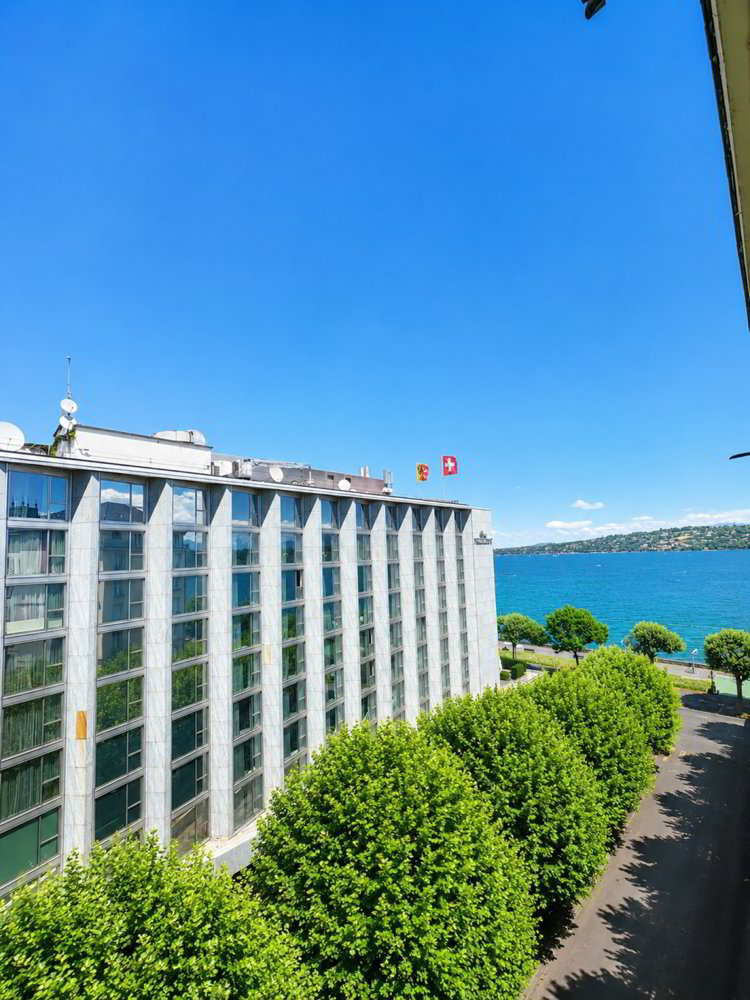 null Zimmer Wohnung zu vermieten in Geneva - Bild 1/13