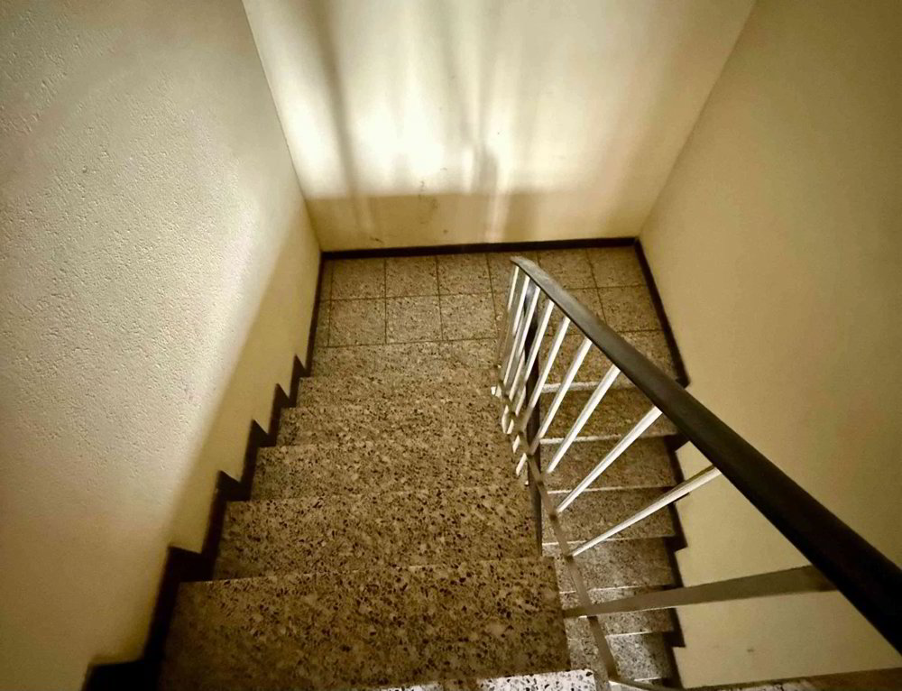 Haus – Grindel - Ansicht 5