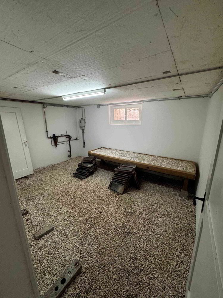 4.5 rooms House for rent in Magden - image 1/11