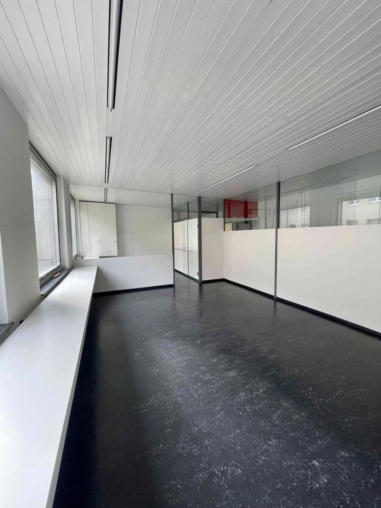 Moderner Büroraum im Herzen von Basel (Gundeli) zu vermieten, 37 qm2 - Ansicht 5