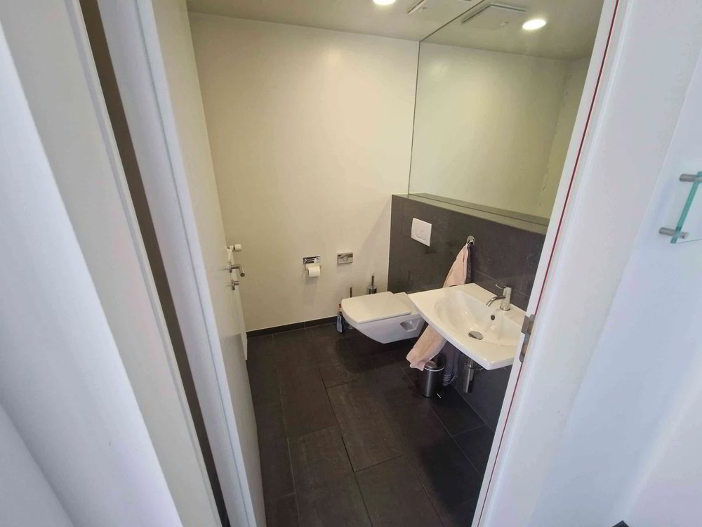 5 rooms Office & Commercial for rent in St. Margrethen SG - image 1/8