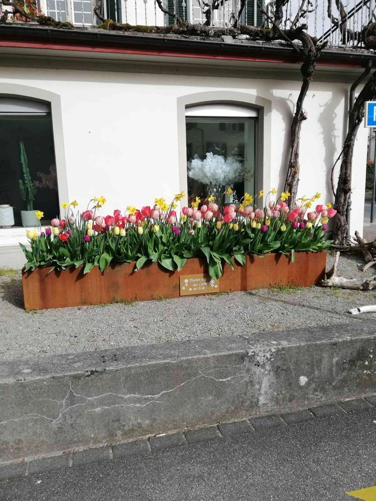 Pop up Store - Ansicht 3