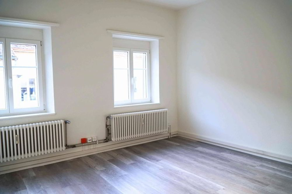 Helle Gewerbefläche in Gelterkinden zu vermieten - Ansicht 5