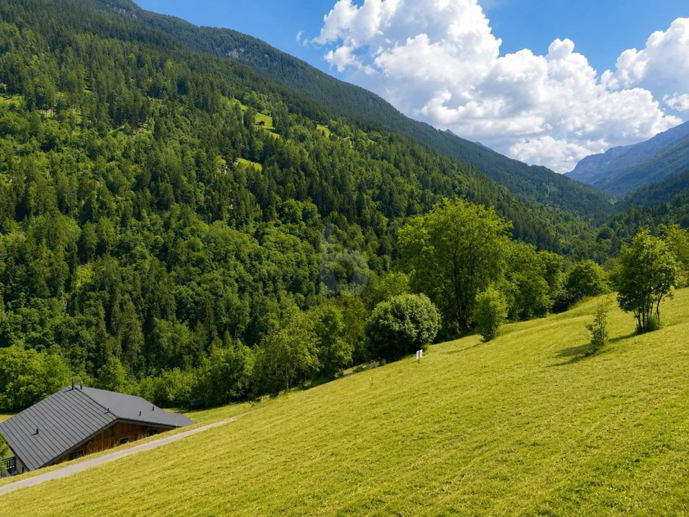 MAGNIFIQUE TERRAIN DANS UN CADRE NATUREL - Ansicht 3