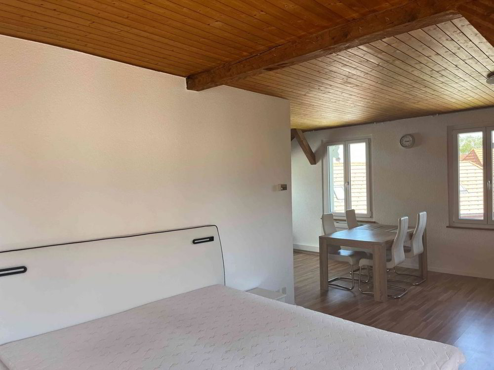 Appartement 2.5 pièces à louer à Oberdorf SO - image 1/13