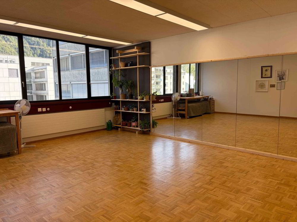 1 rooms Office & Commercial for rent in Chur - image 1/5