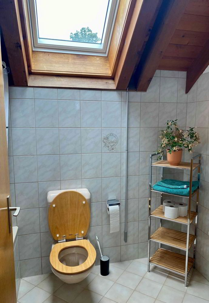 Wohnung – Gommiswald - Mehr