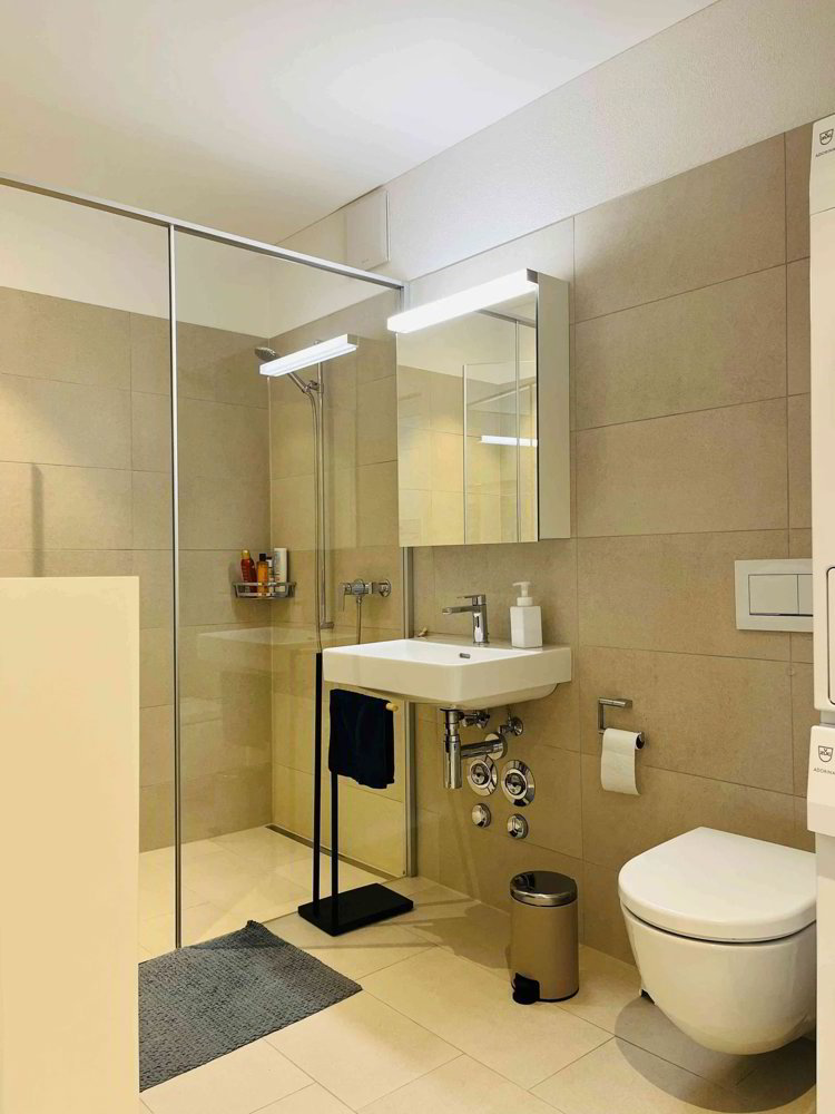 Appartamento di 2.5 locali in affitto a St. Margrethen SG - immagine 1/7