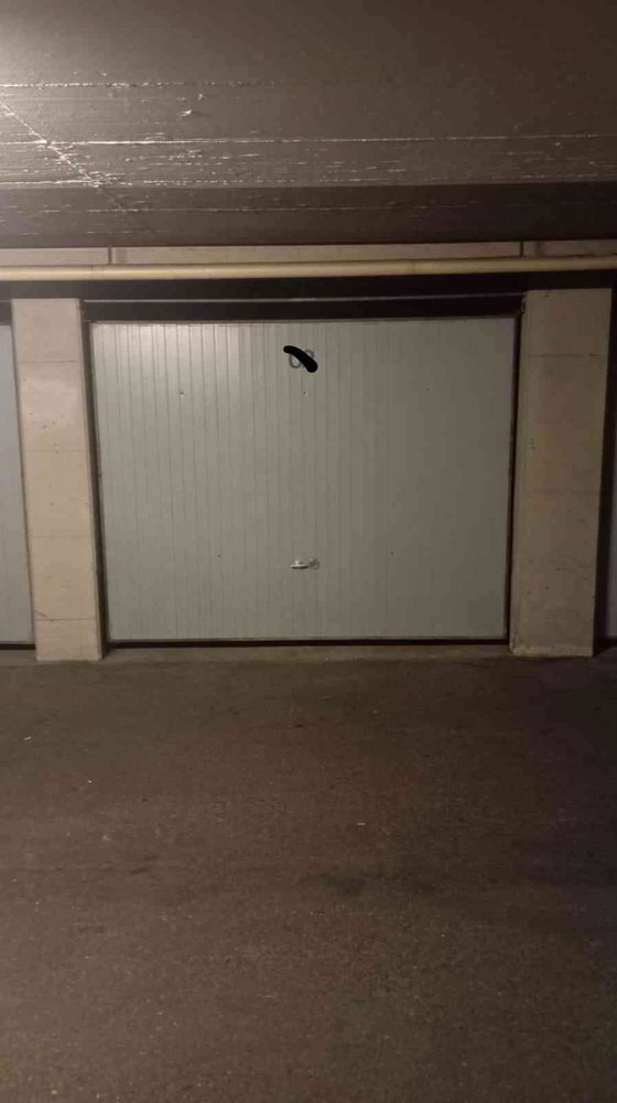 null rooms Car park, garage for rent in Grand-Lancy - image 1/2