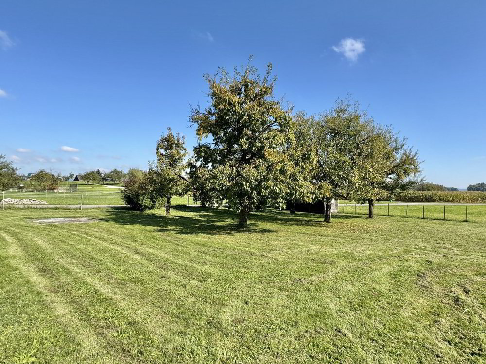 Haus – Schlatt TG - Ansicht 2