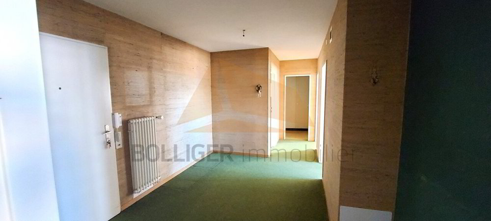 Wohnung – La Chaux-de-Fonds - Mehr