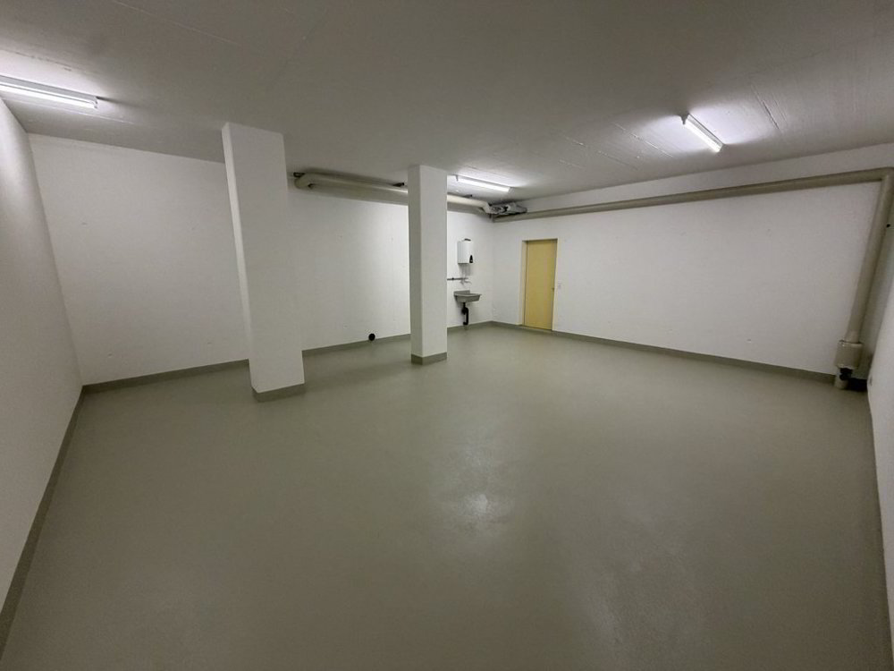 Disponibelraum in Dierikon zu vermieten - Ansicht 2