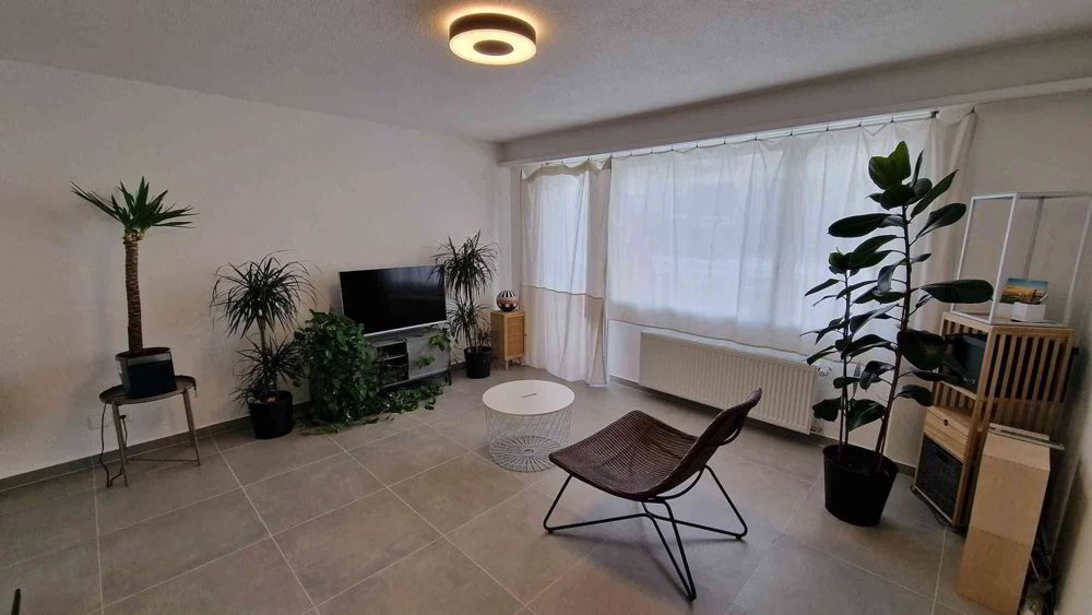 Wohnung – Menziken