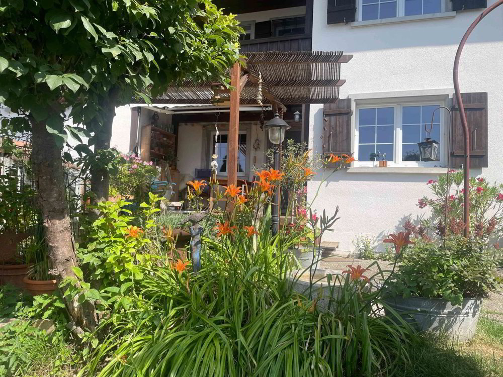 Wohnung – Müllheim Dorf - Ansicht 3