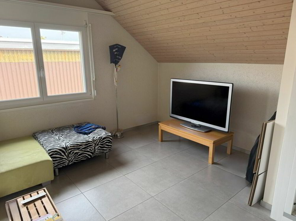 Wohnung – Hagneck - Mehr