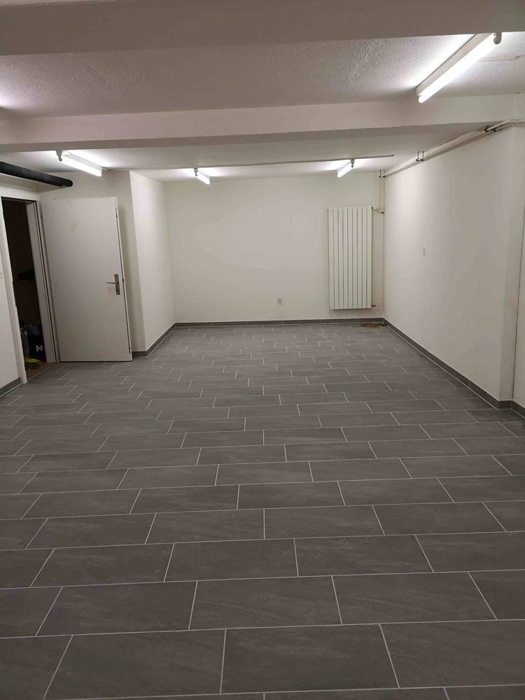 1 rooms Office & Commercial for rent in Nunningen - image 1/2