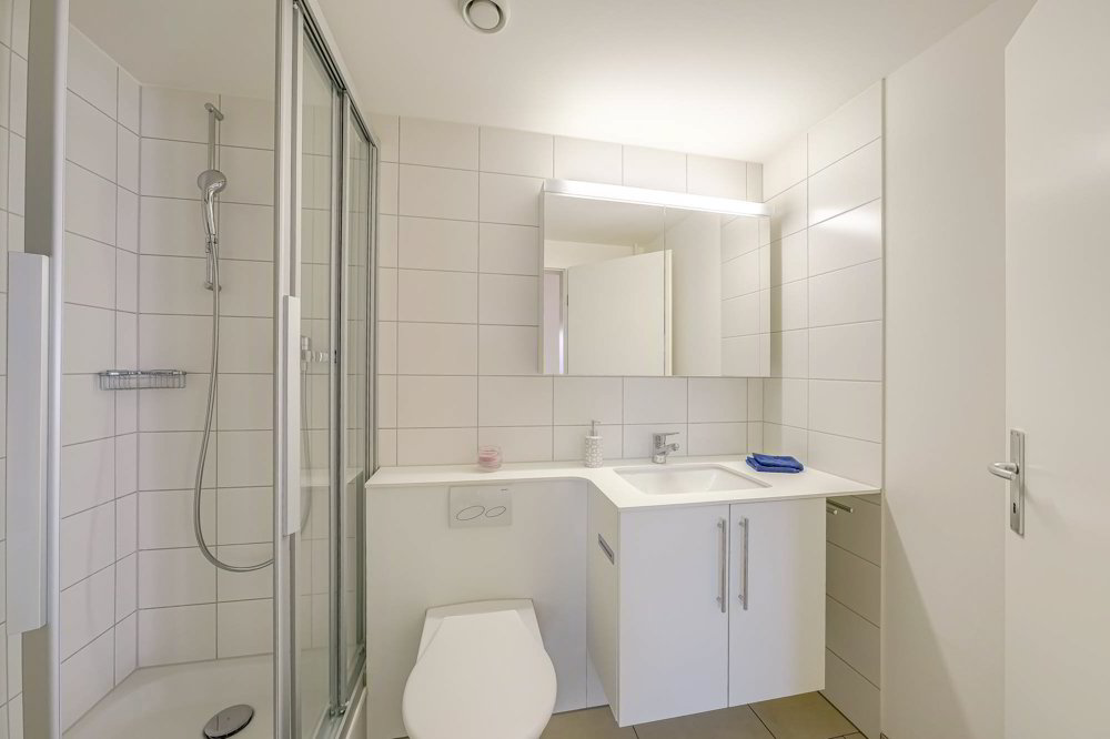 Appartement 3 pièces à louer à Birsfelden - image 1/11