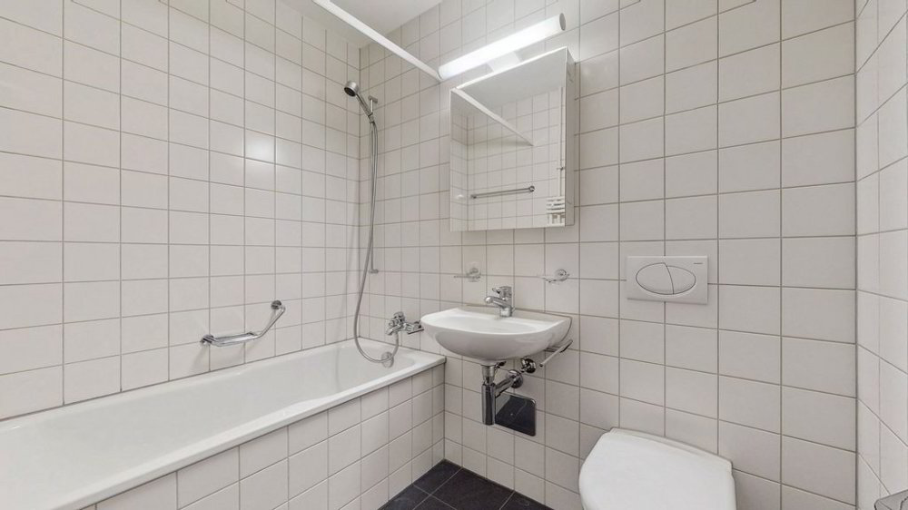 Wohnung – Binningen - Mehr