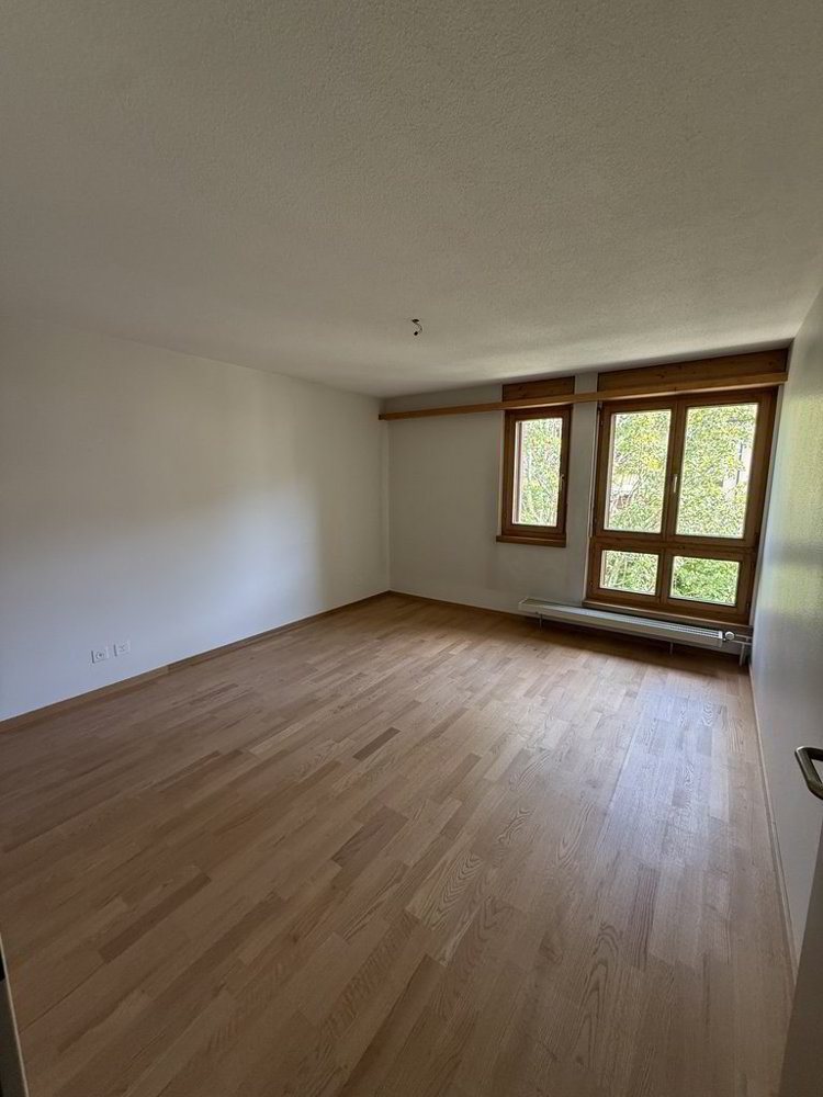 Wohnung – Herisau - Mehr