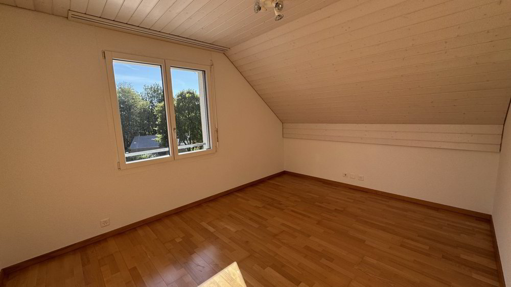 Haus – Laufen - Mehr
