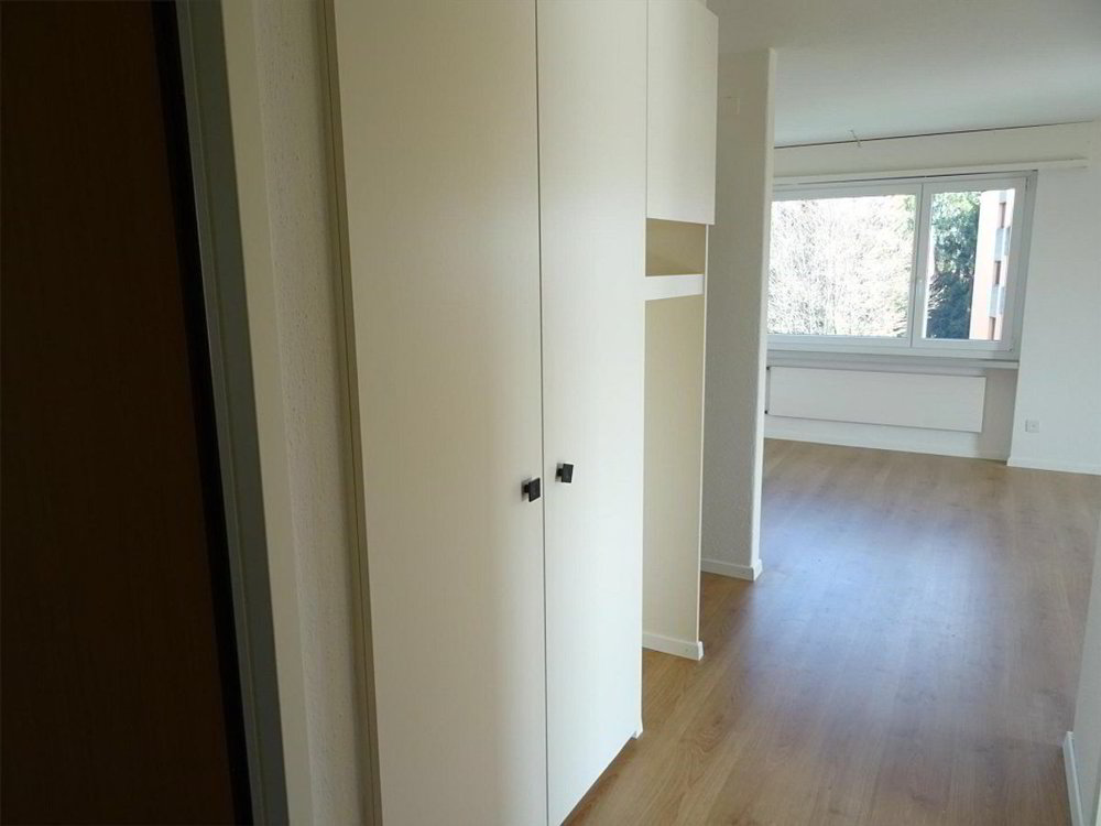 Wohnung – Widnau - Ansicht 2