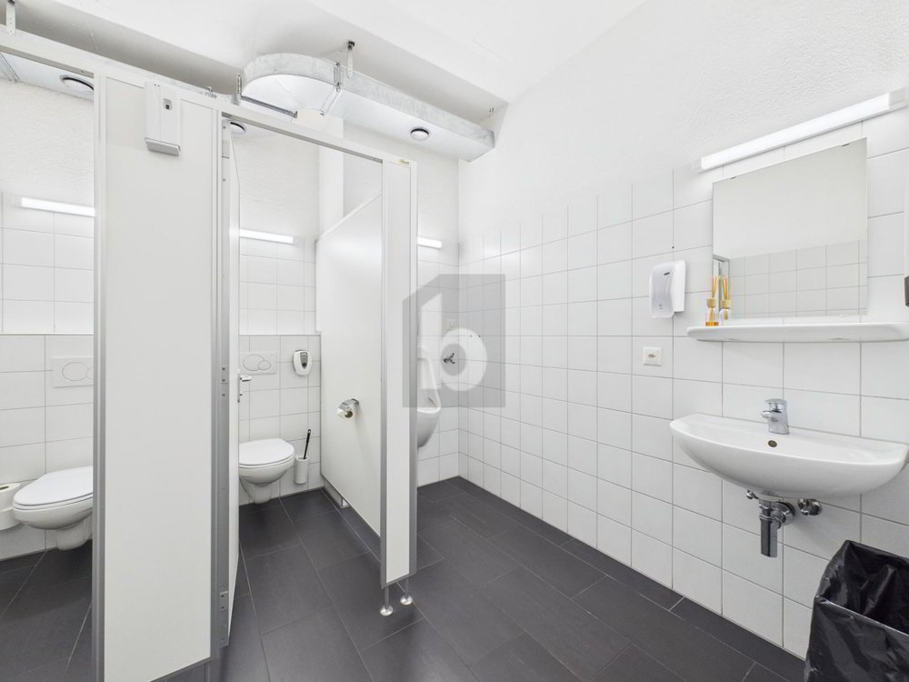 RIESIGE PRODUKTIONSHALLE IDEAL FÜR IHR BUSINESS - Ansicht 4