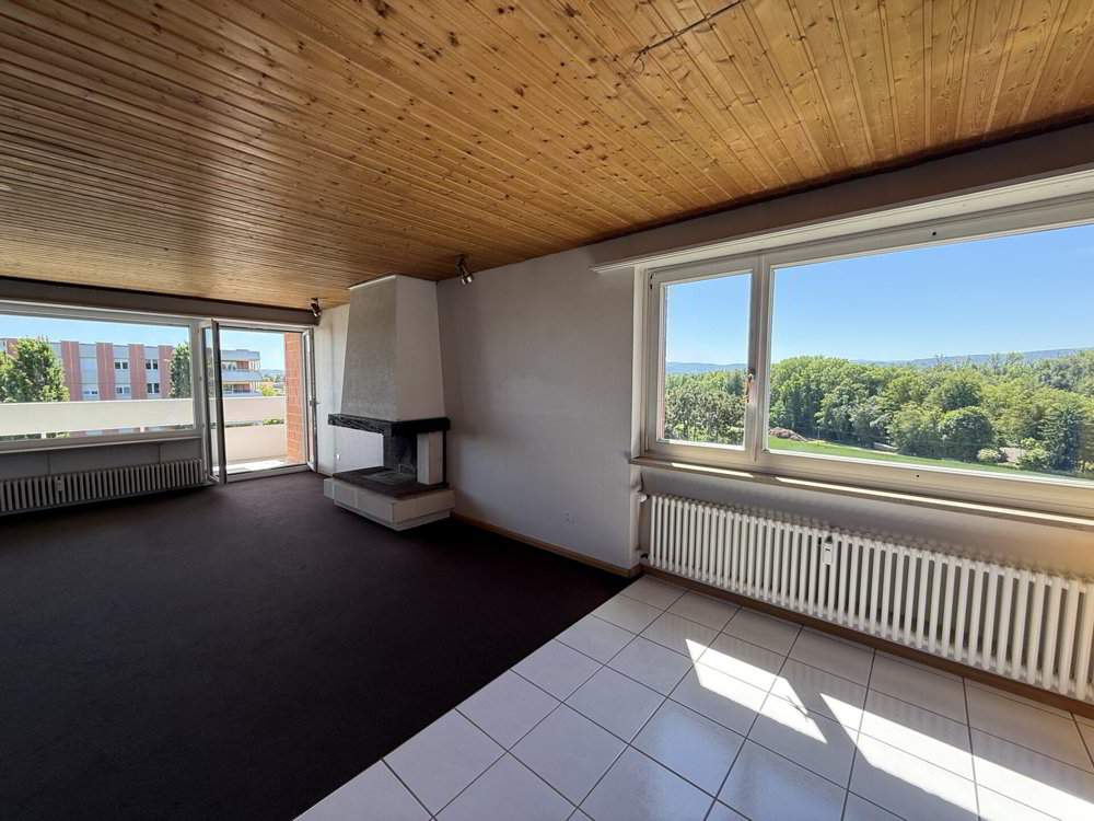 Wohnung – Binningen