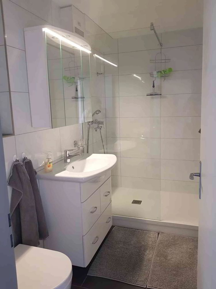 Wohnung – Weggis - Mehr