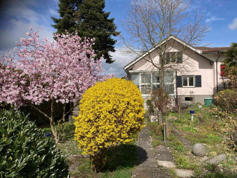 Haus – Kerzers - Ansicht 5
