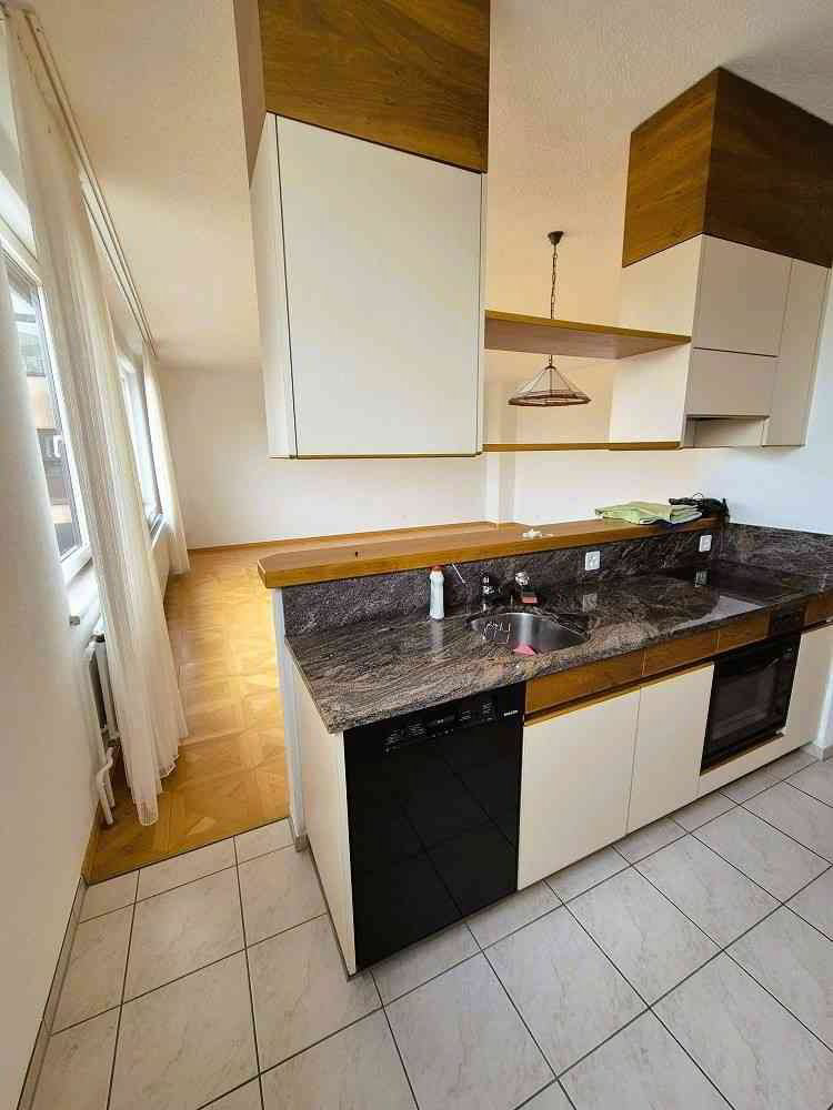Grosses 1.5 Atelier mit Küche und Badezimmer zu vermieten - Ansicht 2
