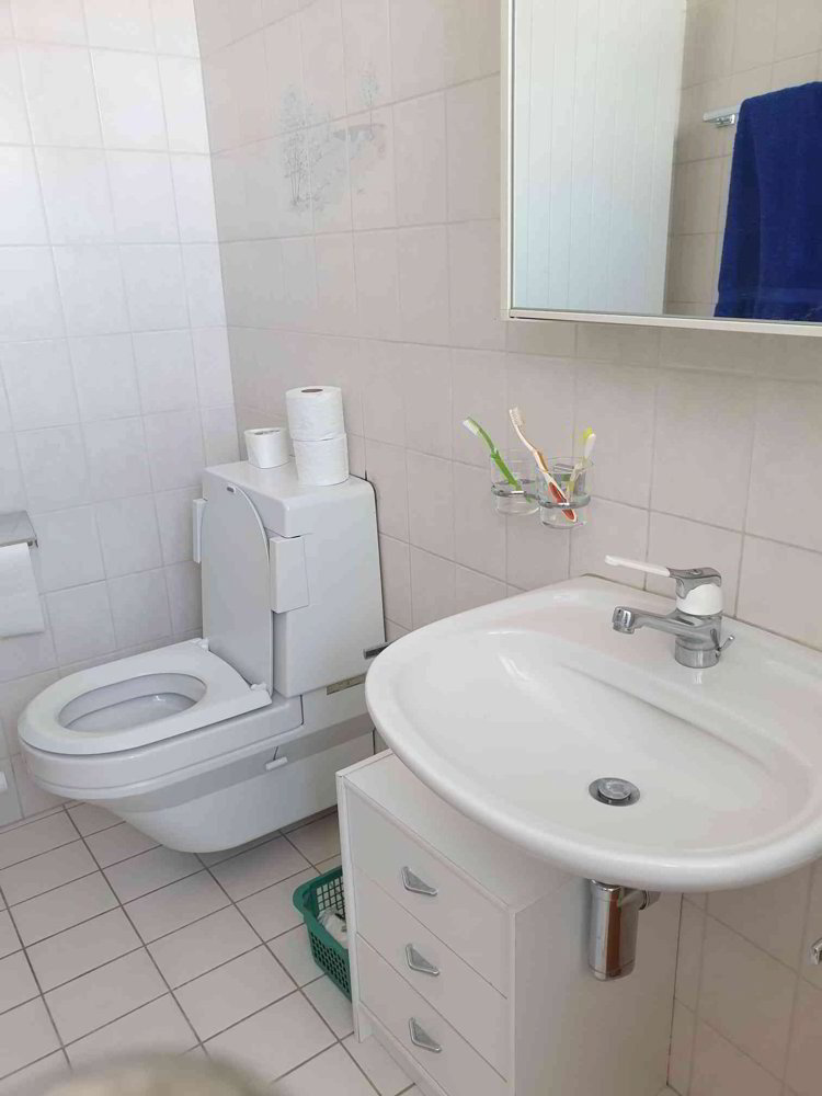 Grosses 1.5 Atelier mit Küche und Badezimmer zu vermieten - Ansicht 5