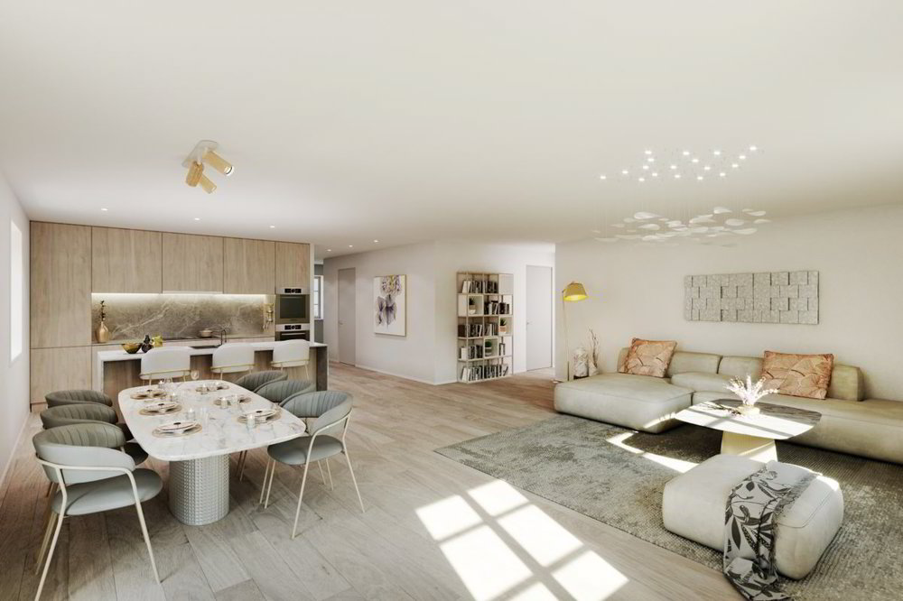 Haus – Semsales - Ansicht 3