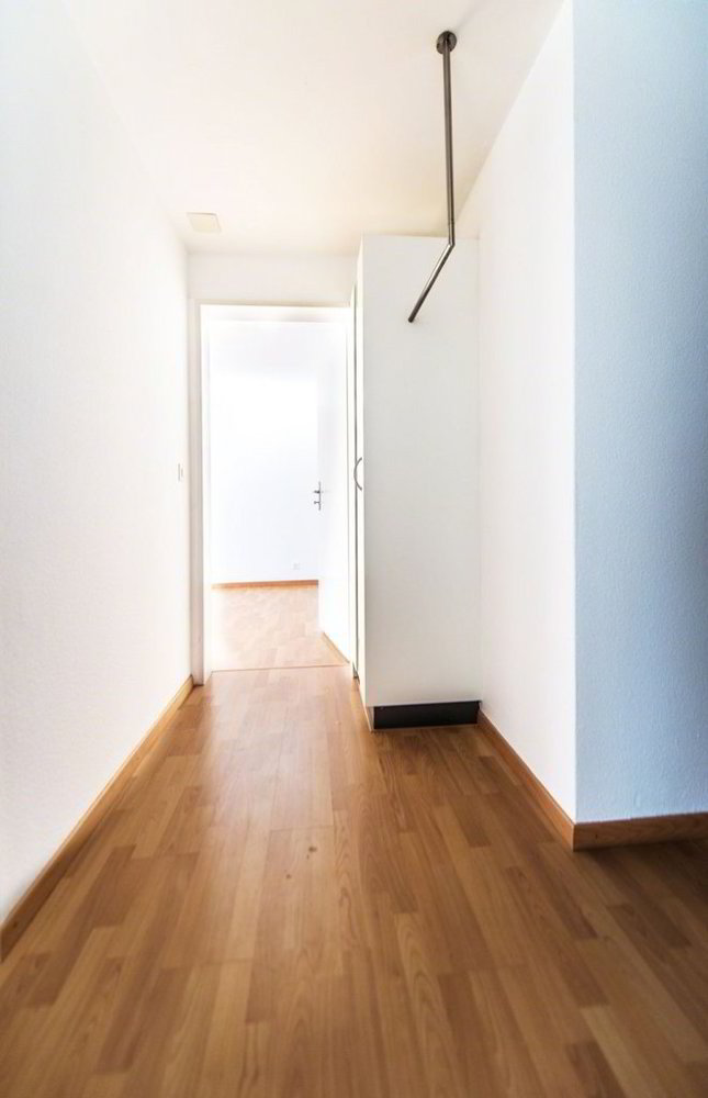 Wohnung – Herisau - Mehr