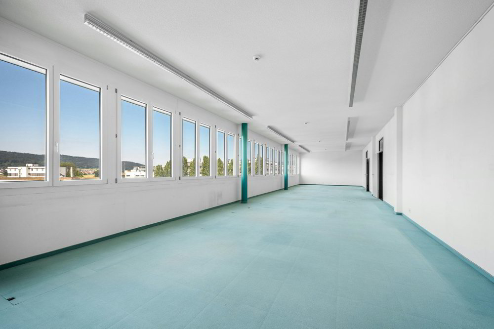 600 oder 1'300 m² 5,5 m hohe Shedhalle mit grosszügiger Anlieferung und hoher Bodenlast - Ansicht 5