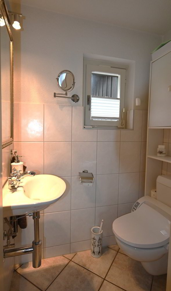 Haus – Netstal - Ansicht 5