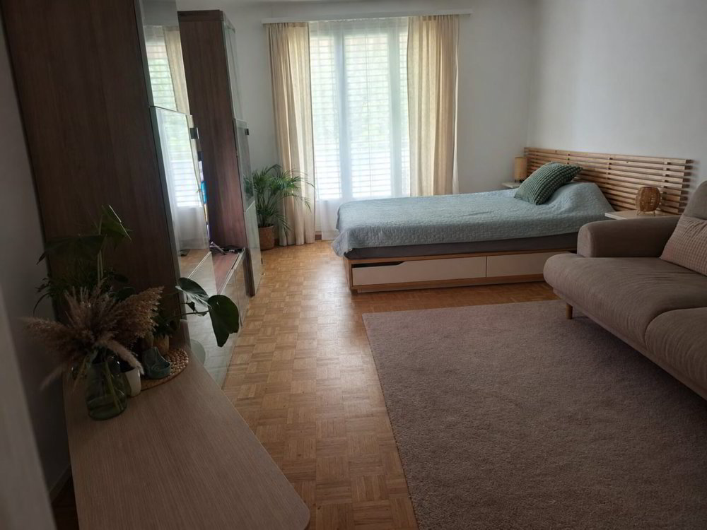 Wohnung – St. Gallen - Ansicht 4