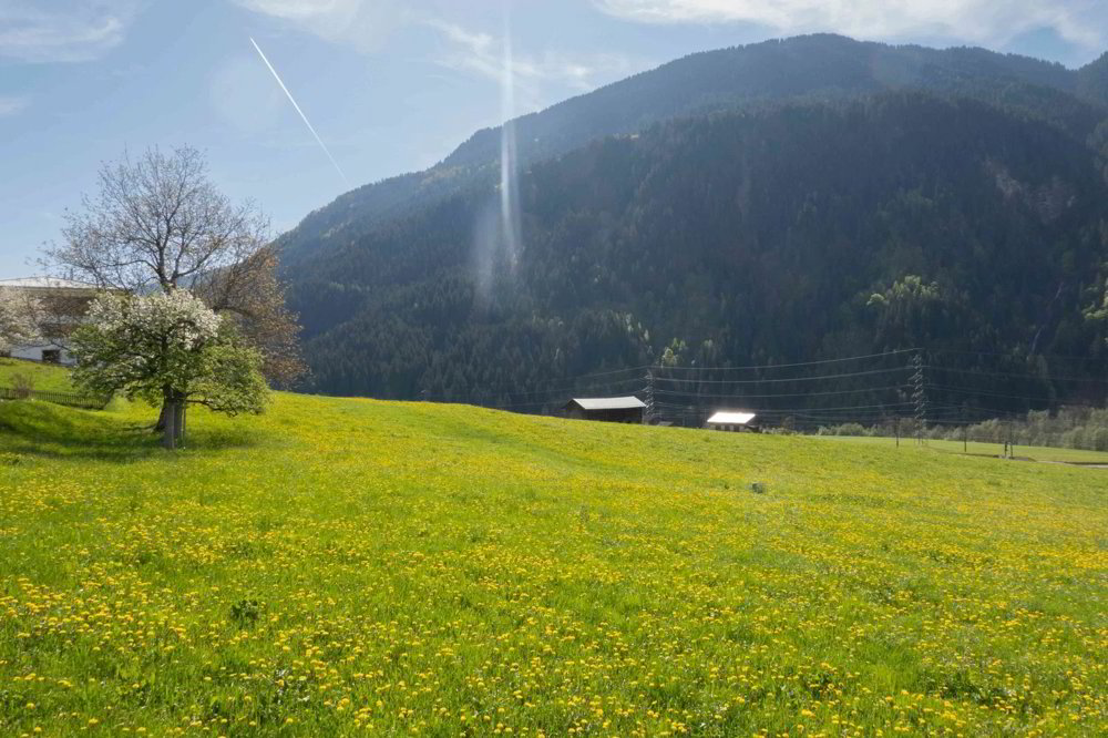 Bauland in Rabius (Surselva, Kanton Graubünden) zu verkaufen (V02)