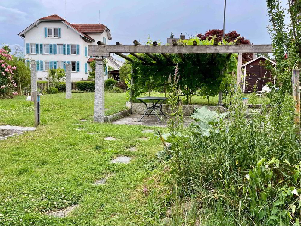 Historisches Bauernhaus mit Gewerbe - Ansicht 2