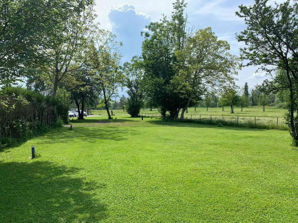 1 Zimmer WG zu vermieten in Altenrhein - Bild 1/9