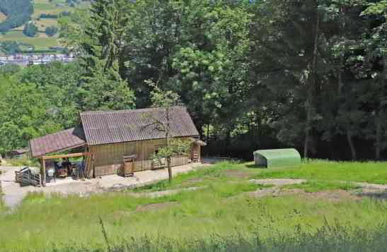 Haus – Wattwil - Mehr