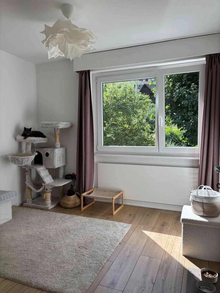 Haus – Porrentruy - Mehr