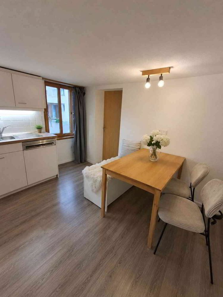 Haus – Neuhaus SG - Ansicht 3