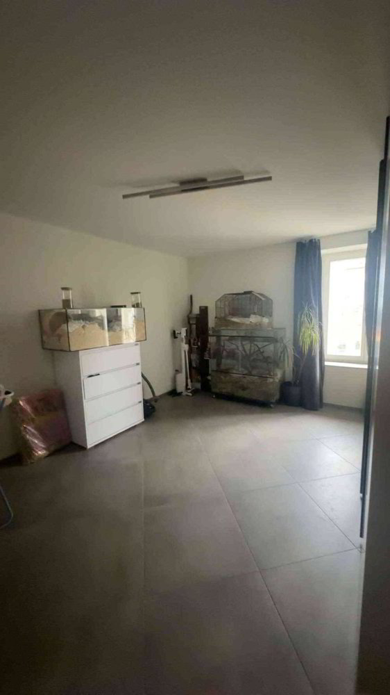 Wohnung – Hallau - Ansicht 5