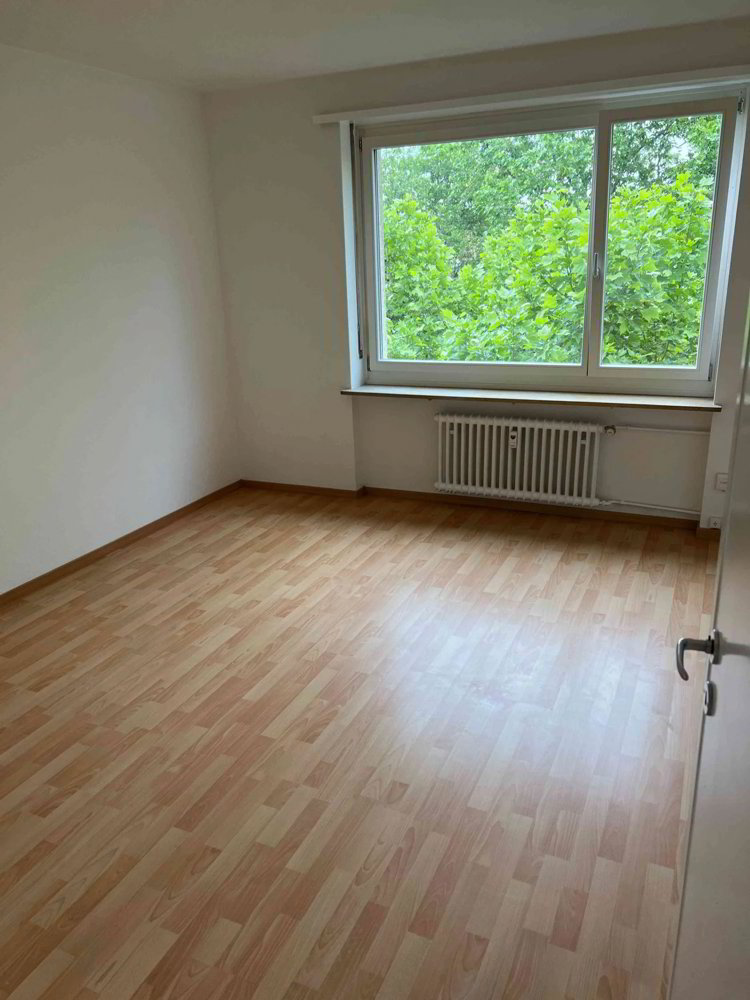 Wohnung – Basel, St. Johann - Mehr