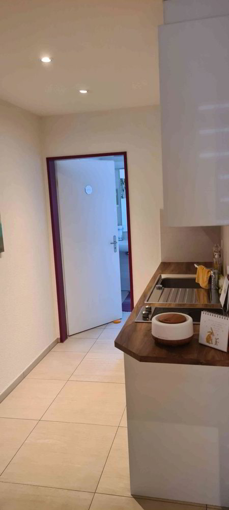 1 rooms Office & Commercial for rent in Sissach - image 1/8