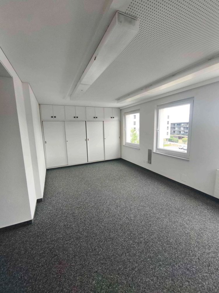 Grosse Gewerbe zu vermieten 546 m² - Ansicht 2