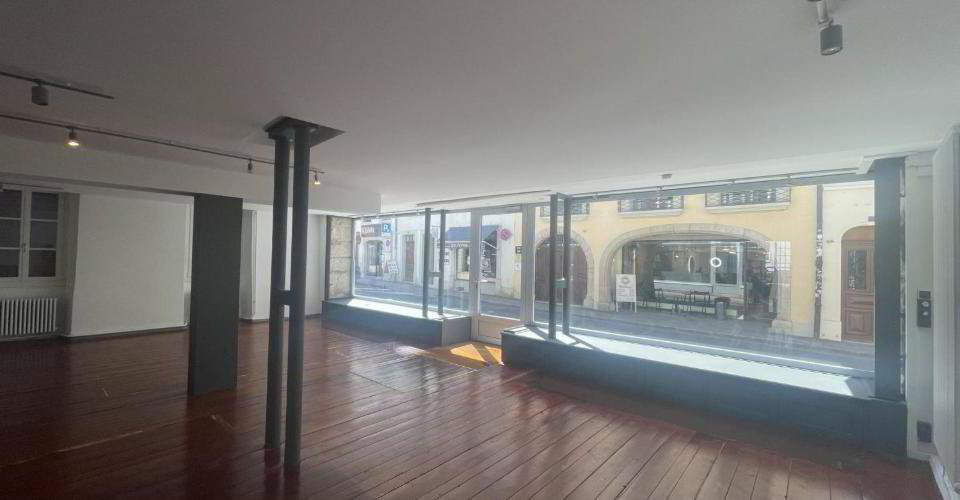 ARCADE COMMERCIAL DE 120 M2 AU COEUR DE NYON - Ansicht 3
