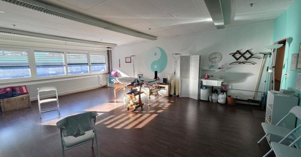 null rooms Office & Commercial for rent in Ecublens VD - image 1/4