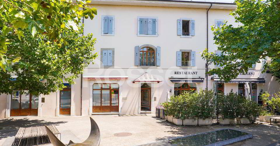 Bureau & Commerce null pièces à louer à Carouge GE - image 1/6