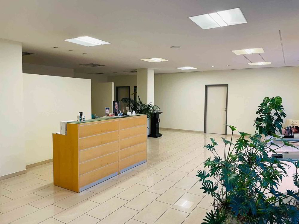 Praxis- oder Büroraum im Zentrum von Villmergen AG - Ansicht 4